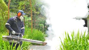 Best Fumigation Services  in Long Branch, VA